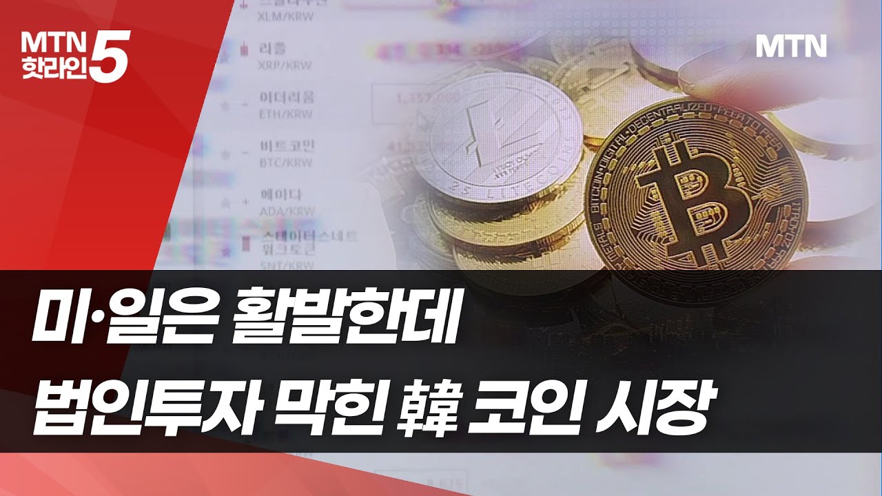 미·일은 활발한데…법인투자 막힌 韓 코인 시장 / 머니투데이방송 (뉴스)