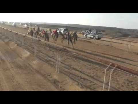 محطم مسلم مبخوت المهري ش الأول جعدان سياره تويوتا شليم م علي بن جميل الوهيبي2016 