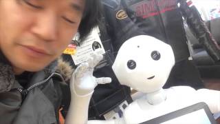 カタナとカタナ乗りの蜜月