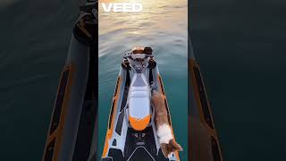 #fy #fypシ #motivation #discipline #getrich #money #luxury