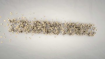 Visual Localisation Management Systeme von VLS Engineering - DEU