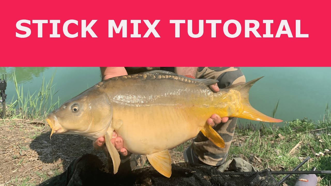 CARPFISHING - uno Stick mix DEVASTANTE in tutte le stagioni!