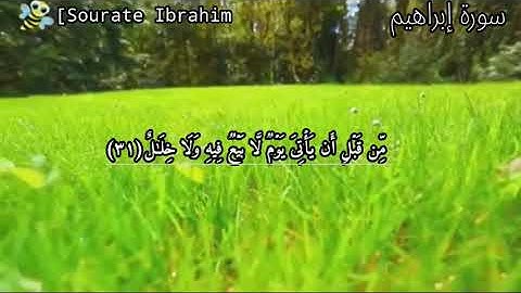 سورة إبراهيم كاملة||تلاوة خاشعة ومريحة||ورش عن نافع||القارئ فهد الحلفي 🎧🎤