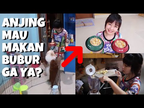 Masak BUBUR AMAN Buat Anjing