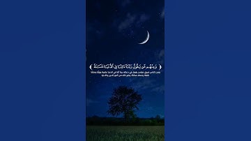 #بدر_التركي #سورة_البقرة #قران_كريم #قرآن