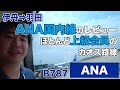 ANA国内線（伊丹⇒羽田/B787）に乗ったレビュー。世界一、上級会員が多い路線？