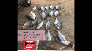 مجزرة صيد الأسماك... والمهم سمكة الزريدي أحلى ما في الفيديو Fishing not Allowed