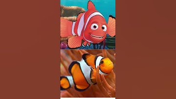 Finding Nemo Characters In Real Life 😍 #shorts