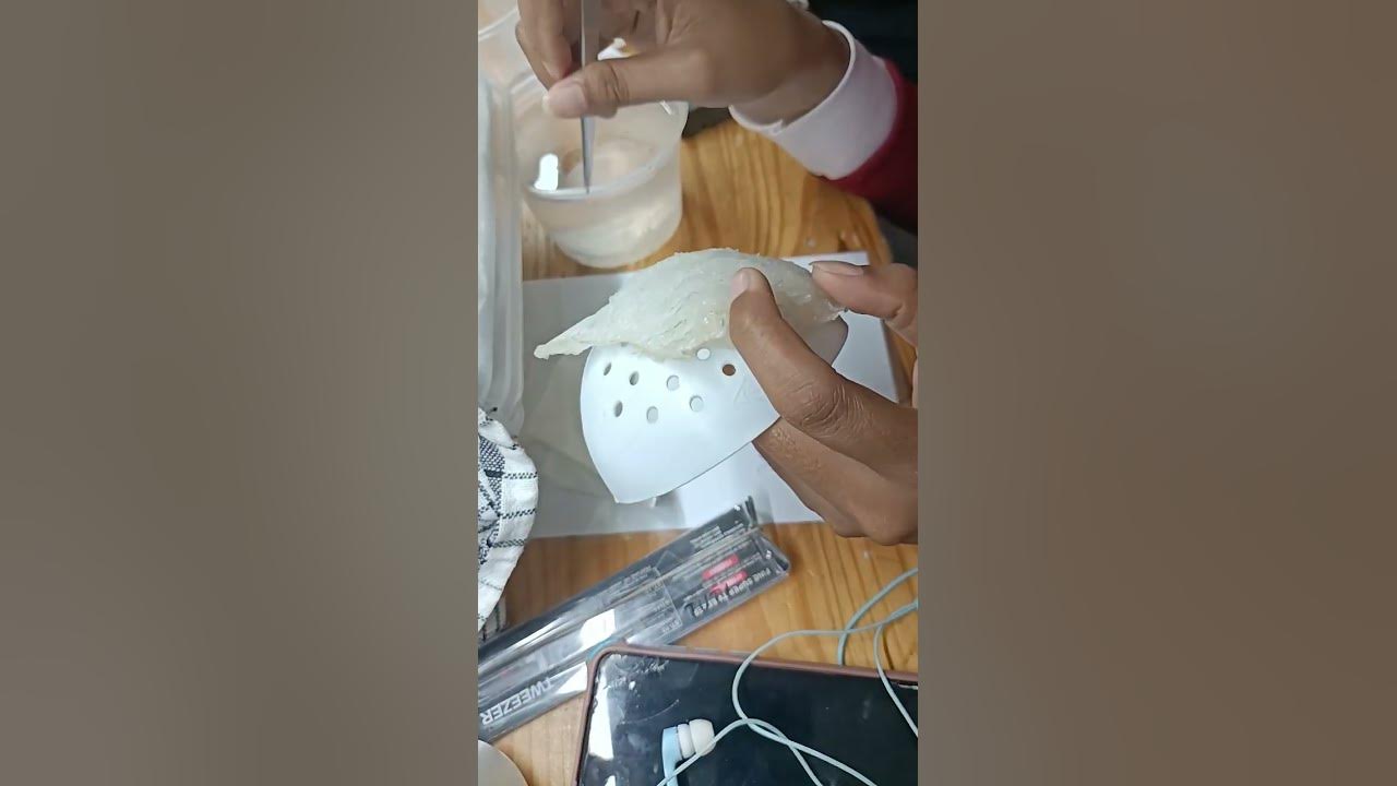 karyawan cabut bulu sarang burung walet