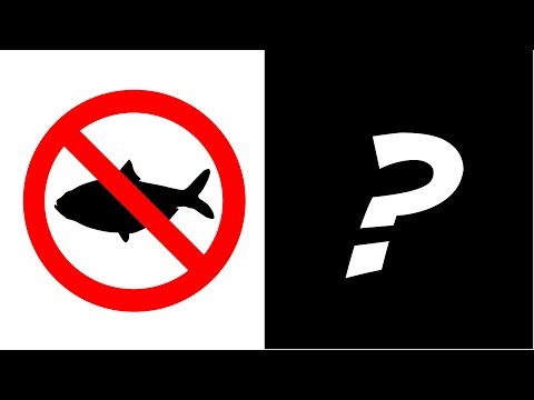 Vidéo: Pourquoi Le Poisson Ne Mord Pas