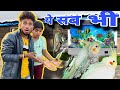     fishes  bhi le aaye birdlovers fishing kabutarcare parrot pets petsvlog