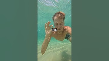 Thumbnail of Opening my EYES under SALT WATER in Australia! #shorts