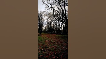 تلاوة خاشعة (إِنَّ الَّذِينَ سَبَقَتْ لَهُمْ مِّنَّا الْحُسْنَى أُوْلَئِكَ عَنْهَا مُبْعَدُونَ)