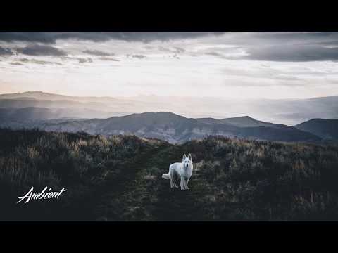 Wezi Mkandawire - Someday