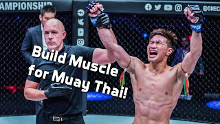 Weekly Muay Thai Muscle Building Considerations!