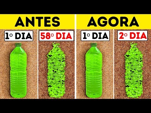 Vídeo: Um Microrganismo Que Se Alimenta De Plástico Tóxico - Visão Alternativa