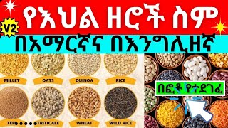 የእህል ዘሮች ስም ከፎቶ ጋር - Names of grains, Oil seeds and pulses in English and Amharic with pictures Resimi