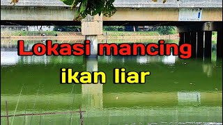 Lokasi mancing ikan liar yang dekat dan nyaman