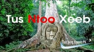 Dab Neeg Keeb Kwm Hmoob Tus Ntoo Xeeb