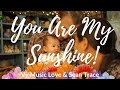 You are my sunshine  phng vy   sean trace johnny cash cover