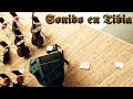 Tibia con sonido (Mi Opinion) [Tibia]
