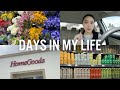 Vlog homegoods  whole foods shopping best coffee order  more