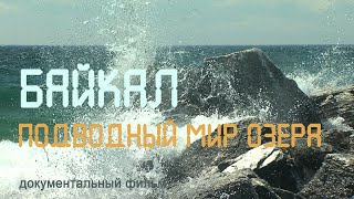 Nature of Russia. Siberia. Underwater world of Baikal. Olkhon Island. Endemics of Baikal.
