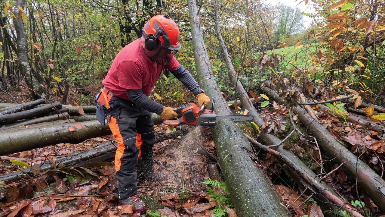Bringing Down a Hung Up Tree in Blocks - YouTube