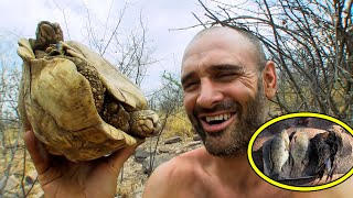 He Cooked A Luxurious Feast With Captured Giant Tortoise And Birds, Turning Survival Into Vacation.