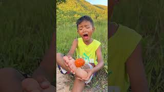 Download Lagu ASMR AMERICA'SORIGINAL DUBBLE BUBBLE GUM (3 FRUIT FLAVORS) AND PART 3 by chandra didi 🤣🤣🤣#shorts MP3