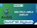 How to Display Multiple Lables in ArcGIS || GIS in Telugu