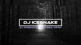 DJ IceSnake - Swagga Drop