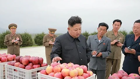 焦点对话：周旋于大国之间，金正恩成了香饽饽？ - 天天要闻