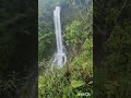 mengintip janda mandi