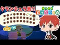 【あつまれ どうぶつの森】タランチュラだらけのレア島に来たよ!!【赤髪のとも】7