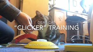 Clicker training - push the button screenshot 4