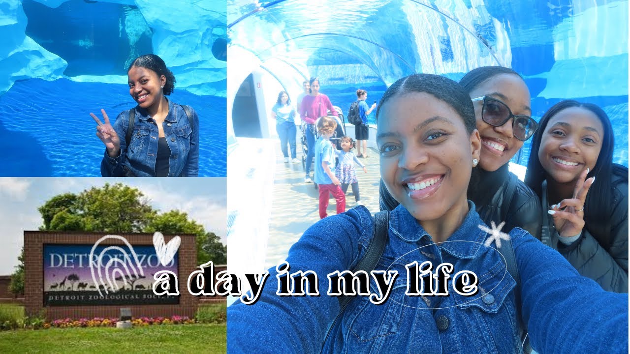 Mini Zoo Vlog Day in my life YouTube