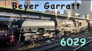 Australian Steam Trains: Beyer Garratt 6029  In Review
