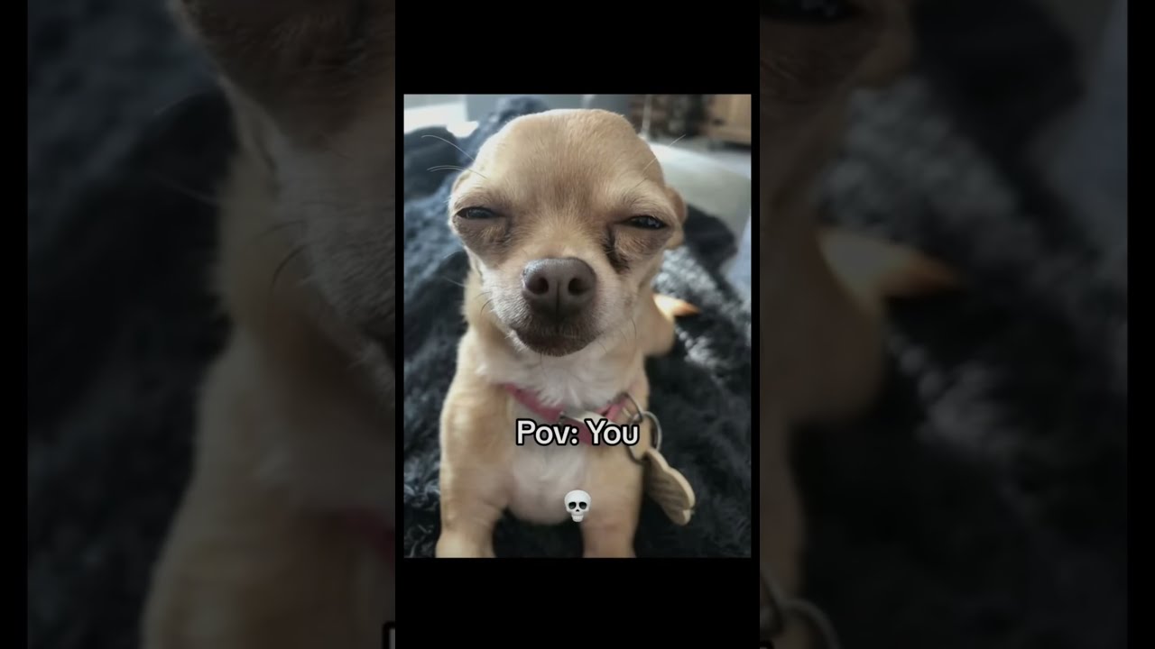 When Your Squint Eyes It Looks Beautiful Meme Funny Shorts