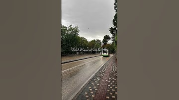 القارئ:عبدالرحمن القحص|سورة:البقرة،،#تلاوة #تلاوة_خاشعة #قرآن #مصحف #اكسبلور