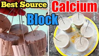 How to Make Calcium Block New Formula at Home for Budgies & Love Birds