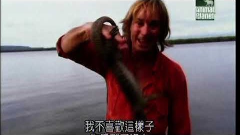 Austin Stevens - In Search of the Flying Snake