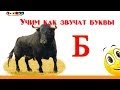 Алфавит русский Учим Буквы и Звуки с Кругляшиком - Буква Б