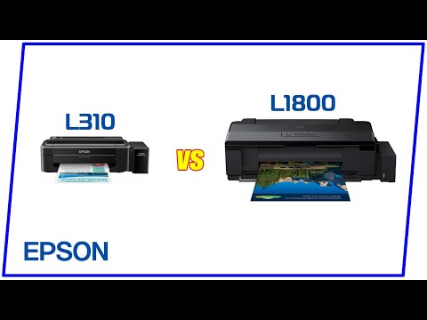 Review Epson L310 vs L1800