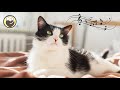 Soothing Music for Cats (with nature sounds) - Relaxing Music, Sleep Music, Stress Relief