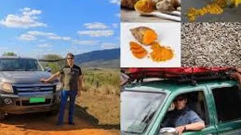 Quel est la différence entre le curcuma et le cumin ?
