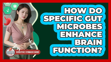 How Do Specific Gut Microbes Enhance Brain Function? - Sensitive Stomach Guide