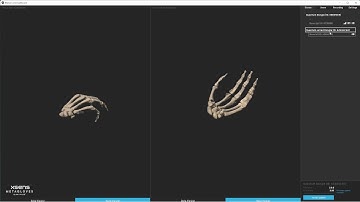 Xsens Tutorial: How to firmware update your Xsens Metagloves by Manus