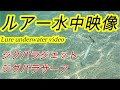 水中映像 ジグパラJET(ジェット）)＆ジグパラサーフ編　【ショアジギング】シャクリ方の参考に