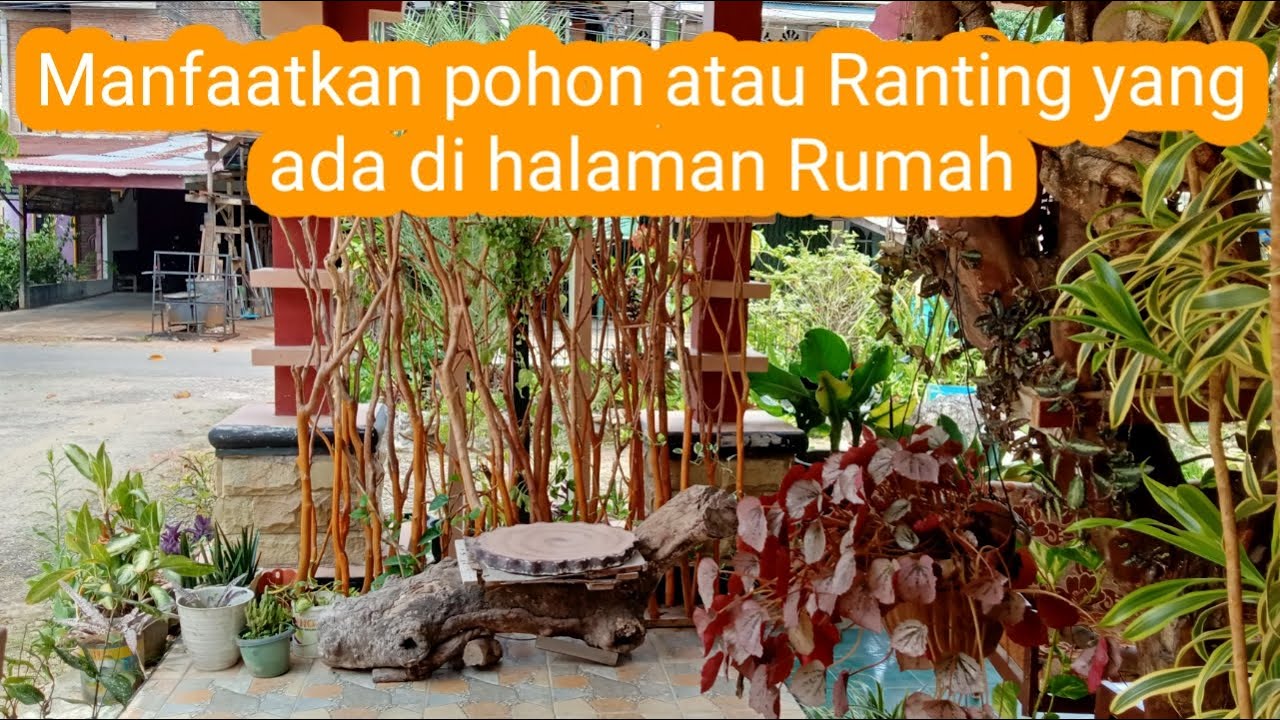 Memanfaatkan pohon dan Ranting kayu - YouTube